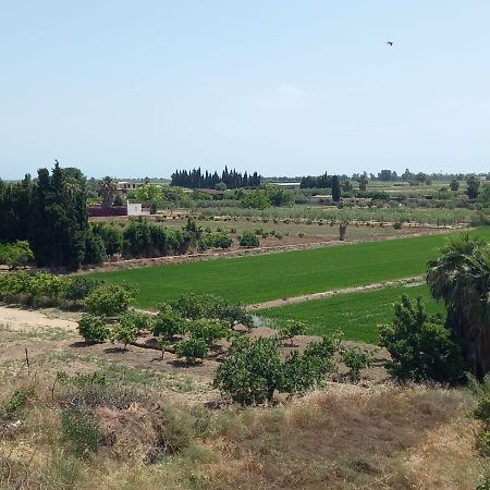 L'Hortet Del Iaio Camarles Exterior foto
